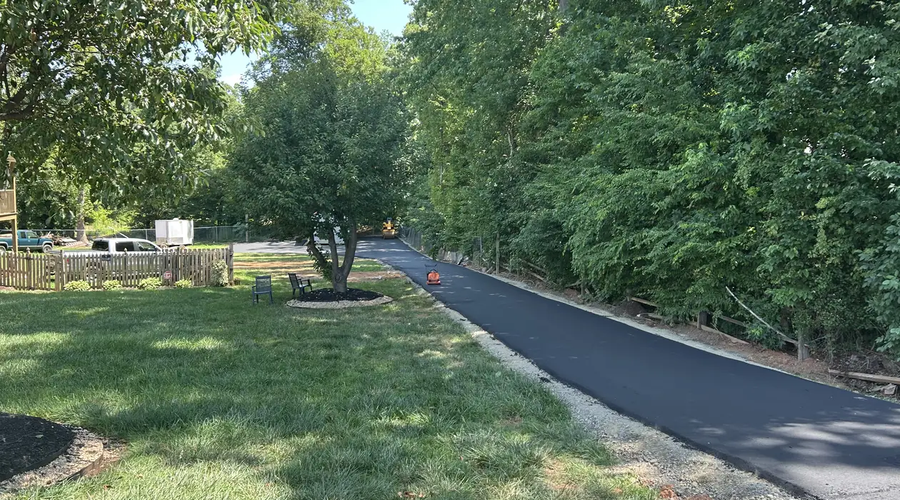 Finished asphalt driveway with clean edges through the trees