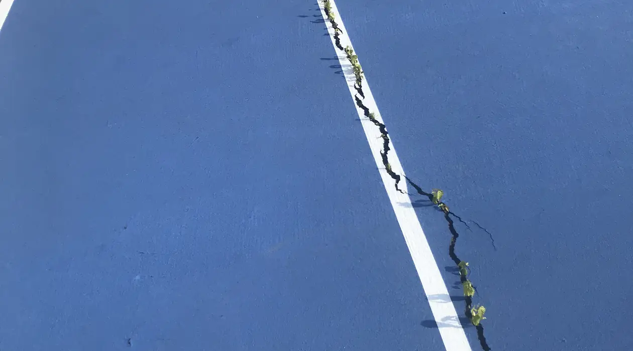 Cracked court surface before repair and resurfacing